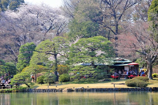 都会の癒やしスポット　東京の素晴らしい庭園12選