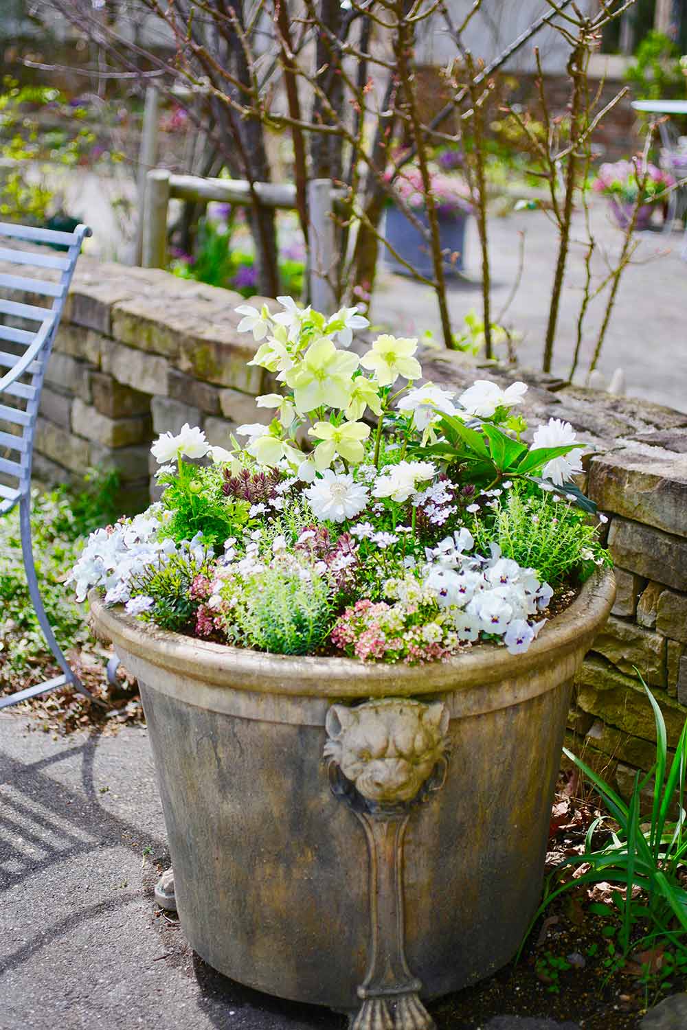 クリスマスローズと小さな花々が競演する春の可愛い庭 | GardenStory 