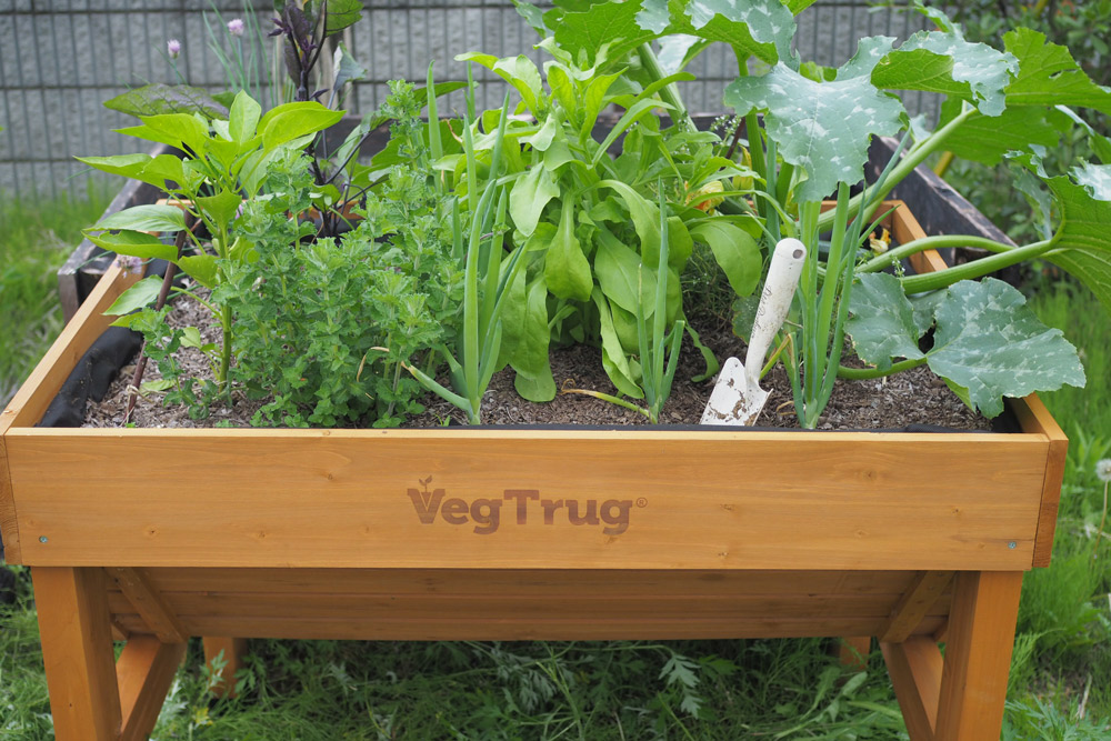 ベジトラグでガーデニングをはじめよう Vol 3 植えた野菜とハーブの管理編 Gardenstory ガーデンストーリー