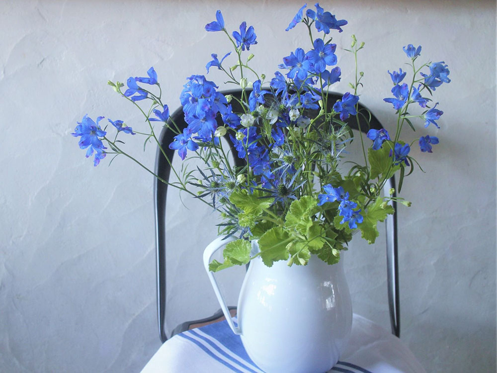 海デルフィ、山デルフィ　澄みわたるブルーの花｜花のある週末、はじめませんか Vol.2