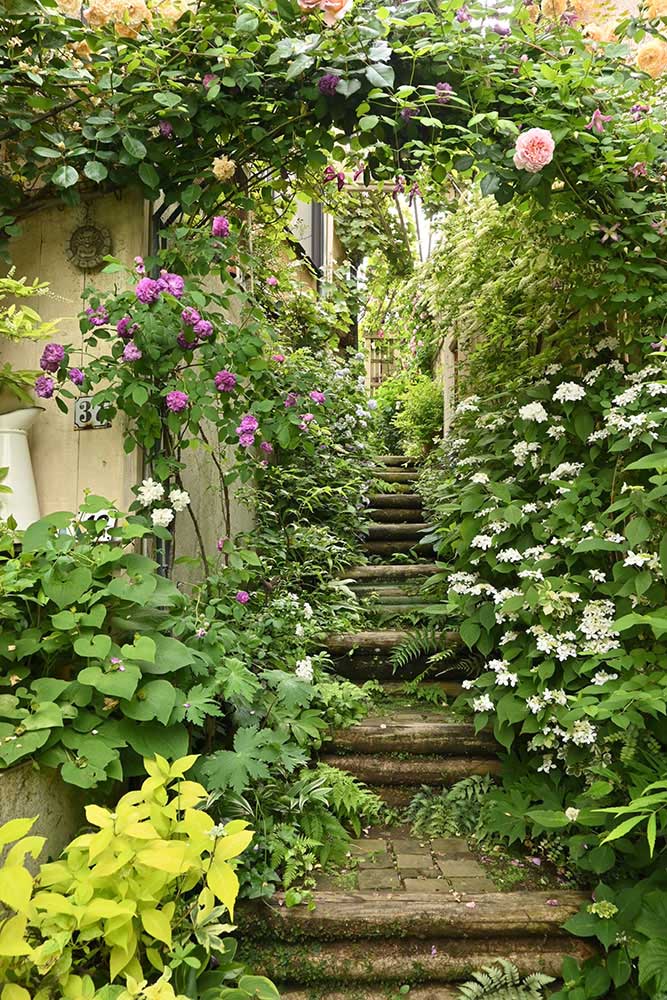 階段の庭