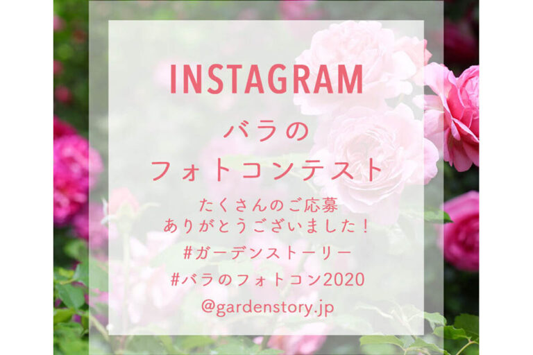 2020年春開催「#バラのフォトコン2020」受賞写真をご紹介
