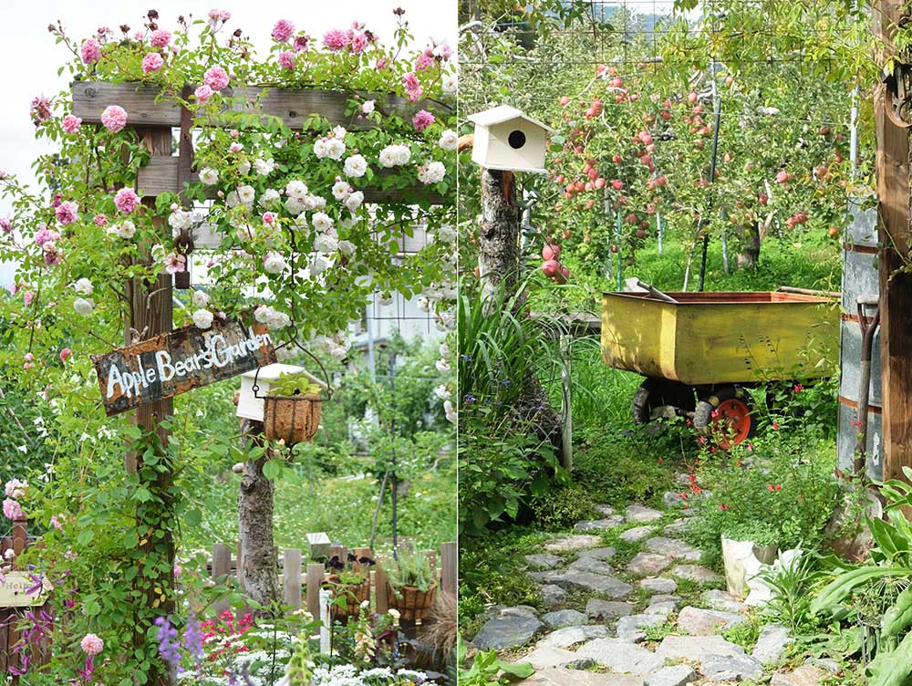 「私の庭・私の暮らし」リンゴとバラが庭を彩る長野県・熊井邸