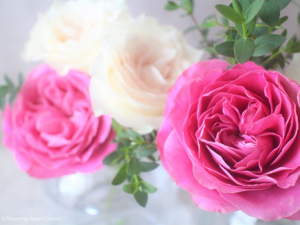 オータムローズの香りにときめいて、心までバラ色に | 花のある週末、はじめませんか  Vol.19