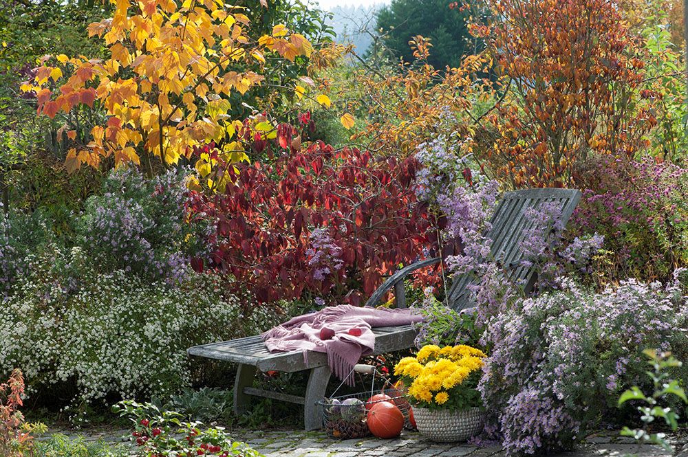 秘密の庭で晩秋の庭仕事を楽しむ～ジャネットのハーブガーデンにて～