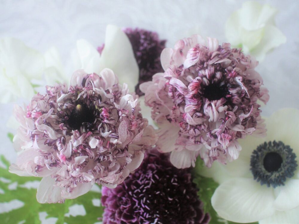 愛らしい魅力ふりまくラナンキュラスと、春の花をテーブルに | 花のある週末、はじめませんか Vol.25