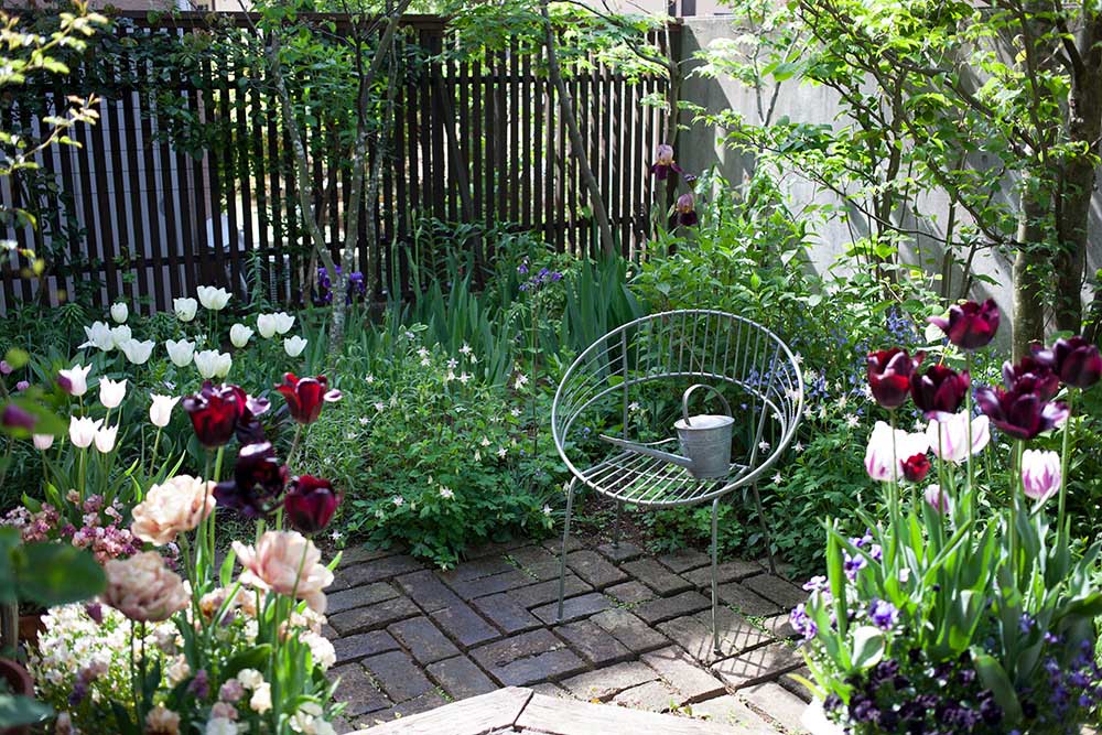 小さな庭と花暮らし「ビオラとチューリップの寄せ植えで春の庭を華やかに」