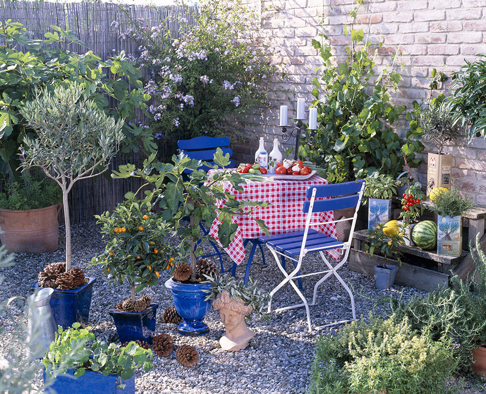 自宅を地中海風に！ 地中海風ガーデンの雰囲気作りのコツとアイデア