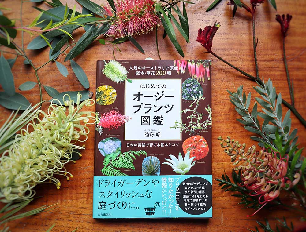 日本初のオーストラリア植物の図鑑『はじめてのオージープランツ図鑑』著者インタビュー