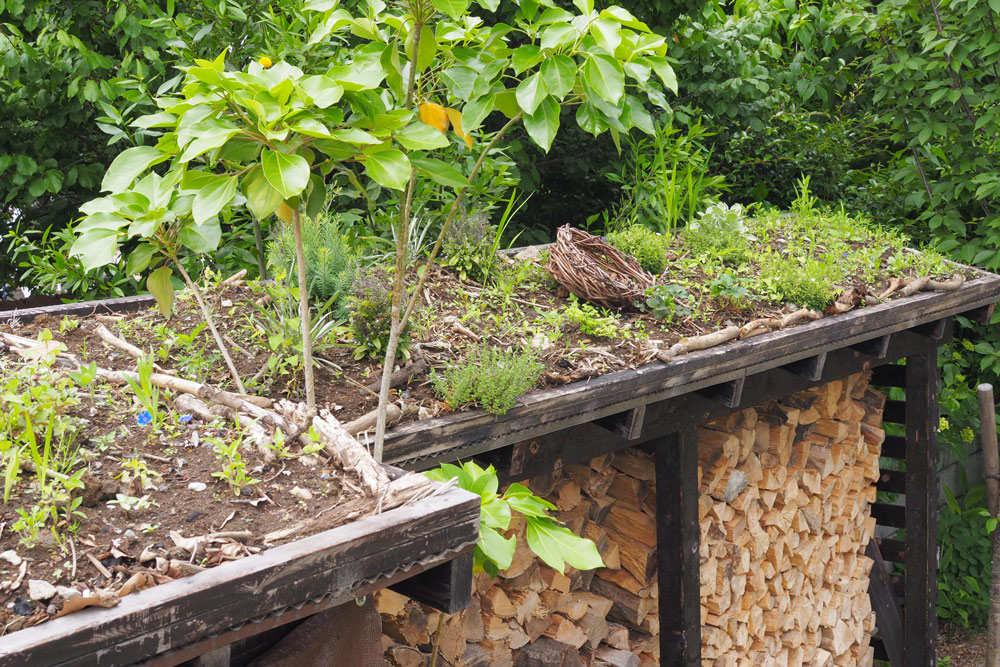 薪棚の上に草屋根を作りました〜ガーデンセラピーが体験できる「花音の森」レポvol.７