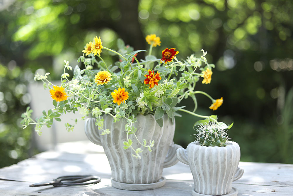 植木鉢だって花器になる！ サボテン形植木鉢を使って切り花をアレンジ！