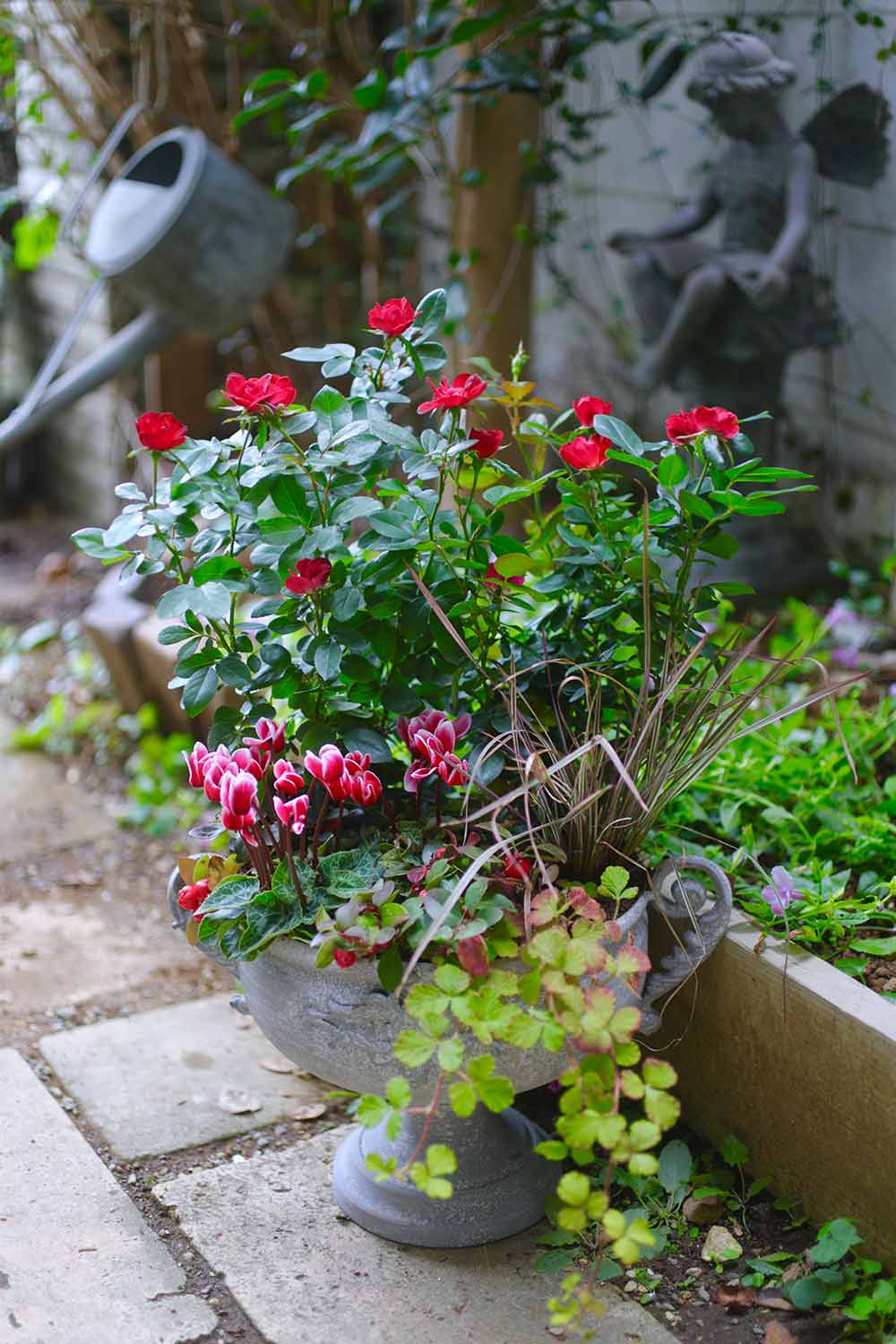 初心者も安心 寄せ植えも楽しめる新品種バラ Zepeti ゼプティ Gardenstory ガーデンストーリー