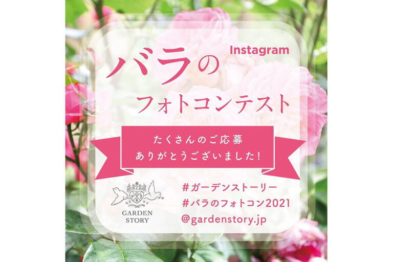 2021年春開催「#バラのフォトコン2021」受賞写真をご紹介