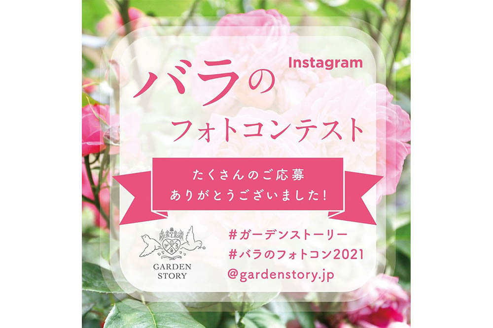 2021年春開催「#バラのフォトコン2021」受賞写真をご紹介