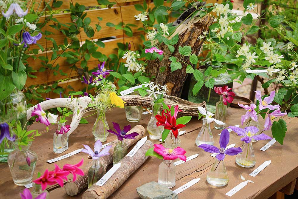 素敵な発見がたくさん！ 園芸ショップ探訪34　岩手「iisago nursery & garden（イーサゴ ナーセリー＆ガーデン）」