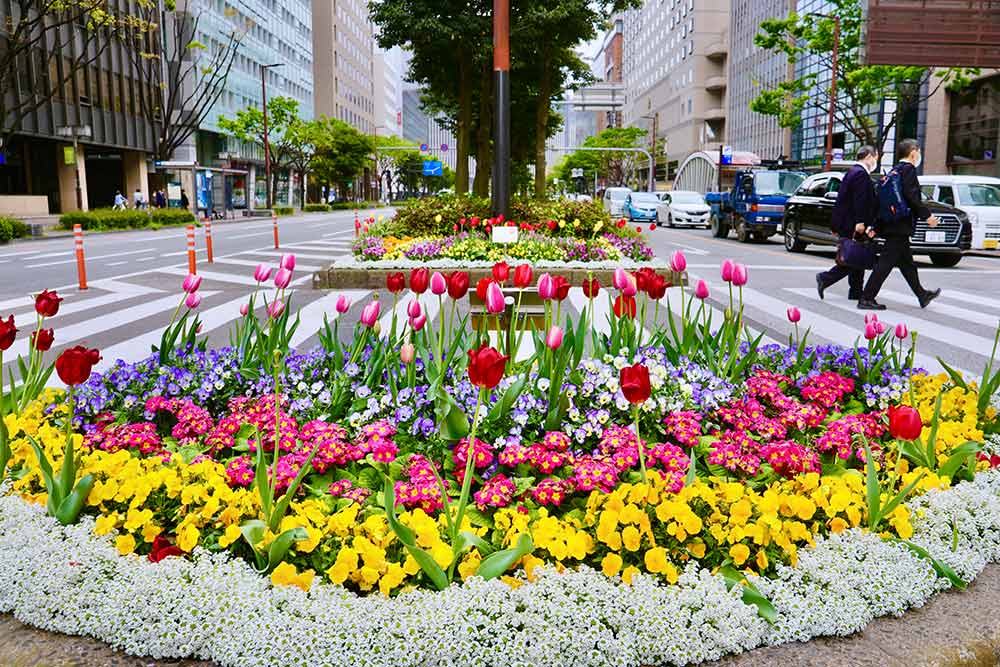 福岡市の花壇