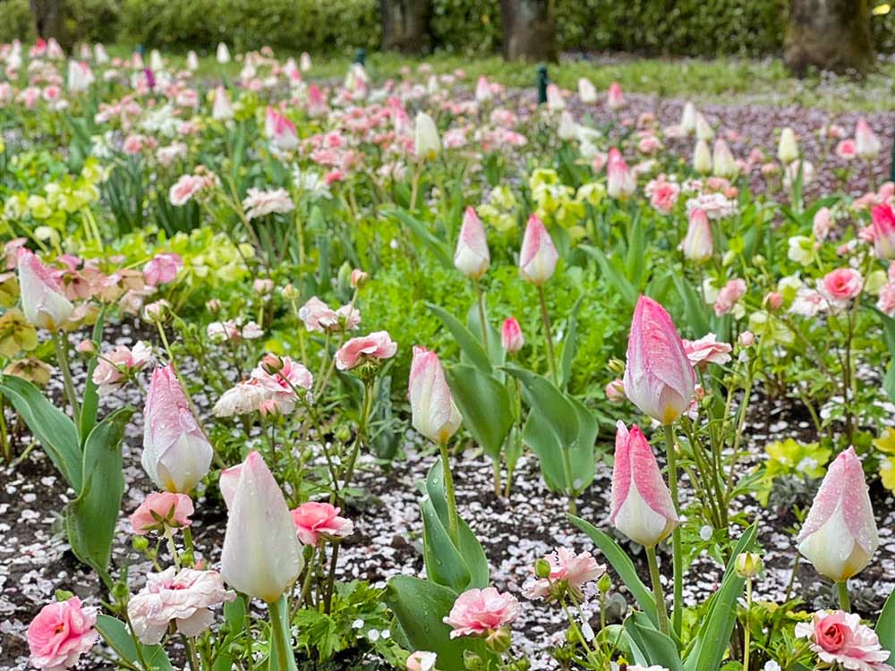 PIET OUDOLF GARDEN TOKYOの春の庭