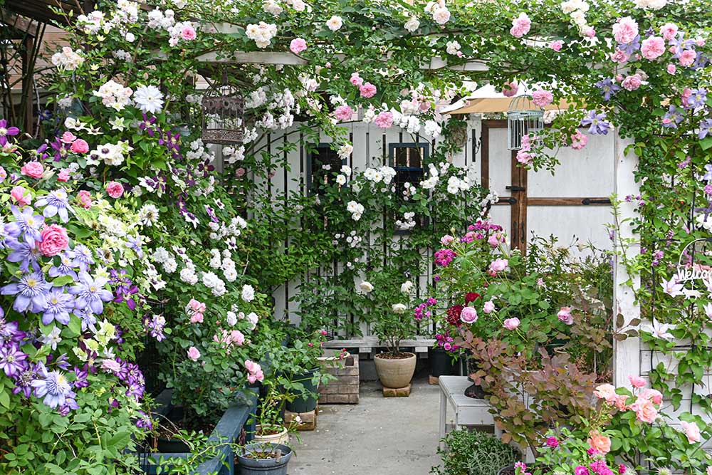 「私の庭・私の暮らし」立体仕立てのワザで花で満たされる群馬県・岸邸