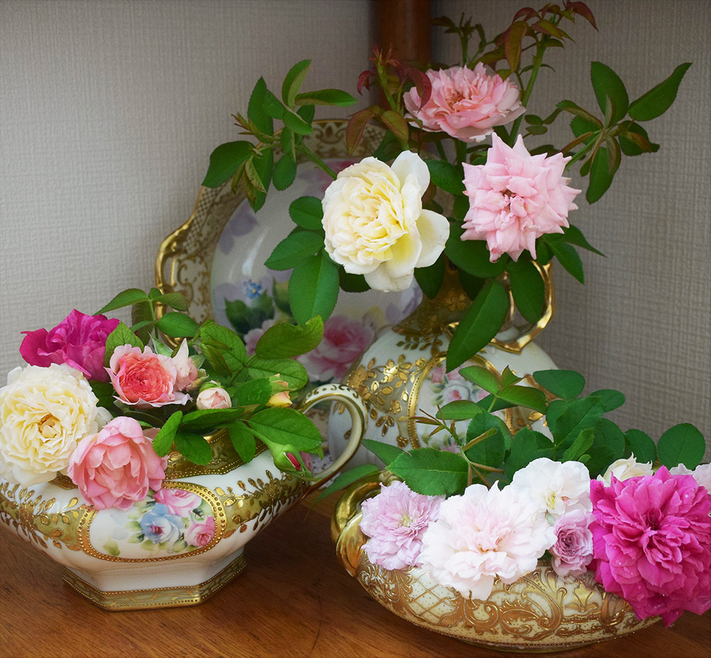 陶磁器に描かれる優美なバラ「オールドノリタケとバラ模様」 | GardenStory (ガーデンストーリー)