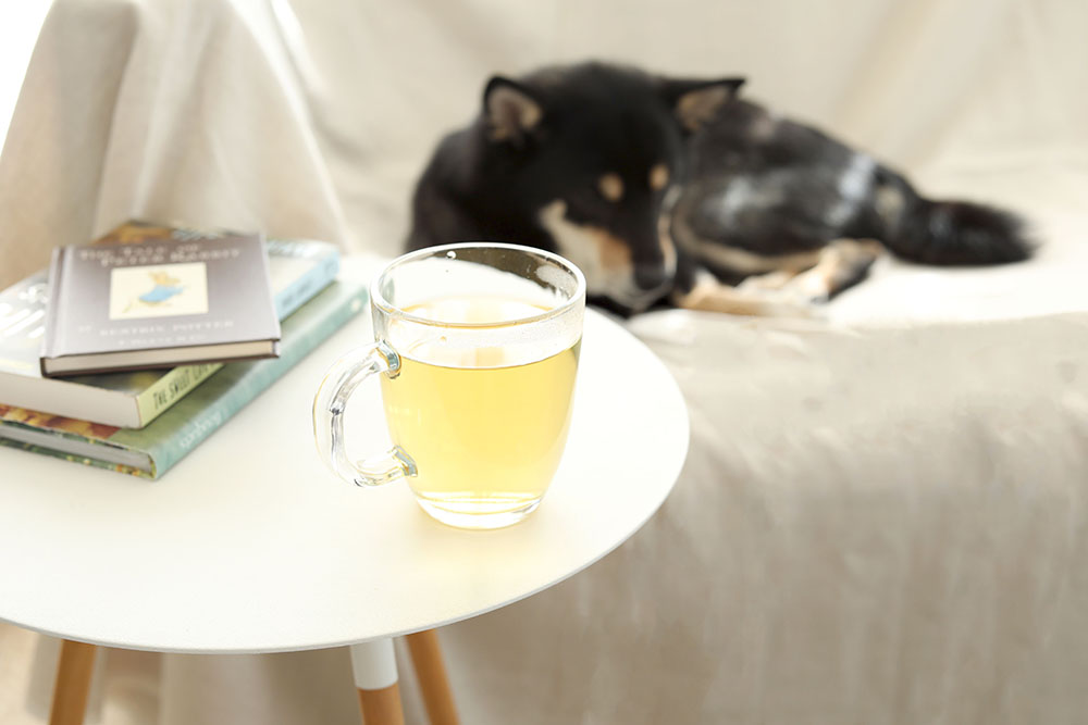 ピーターラビットとカモミール