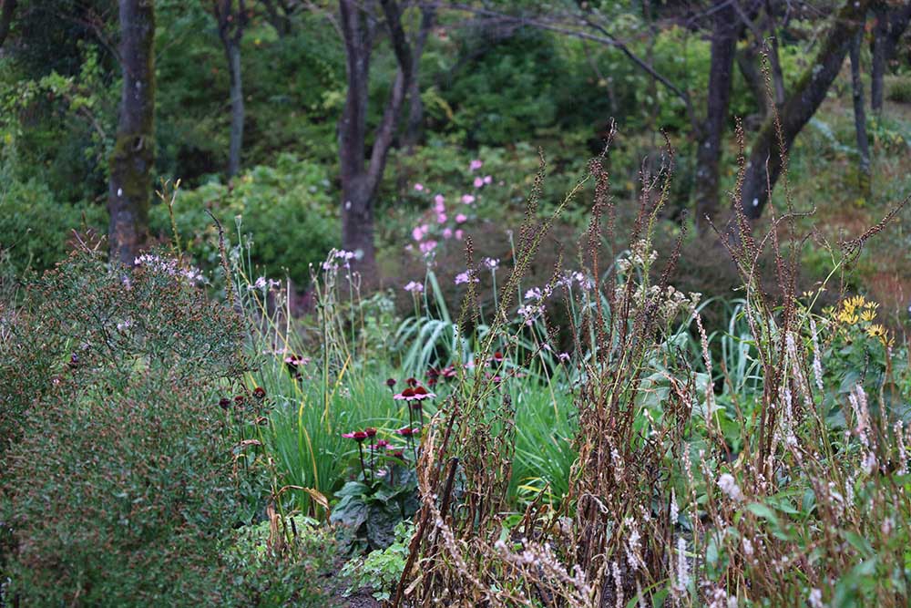 PIET OUDOLF GARDEN TOKYOの秋の庭