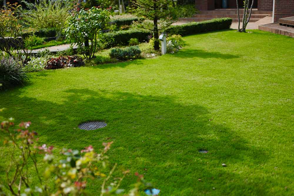 【プロが解説】芝生の庭のつくり方＆絨毯のように美しくするコツ