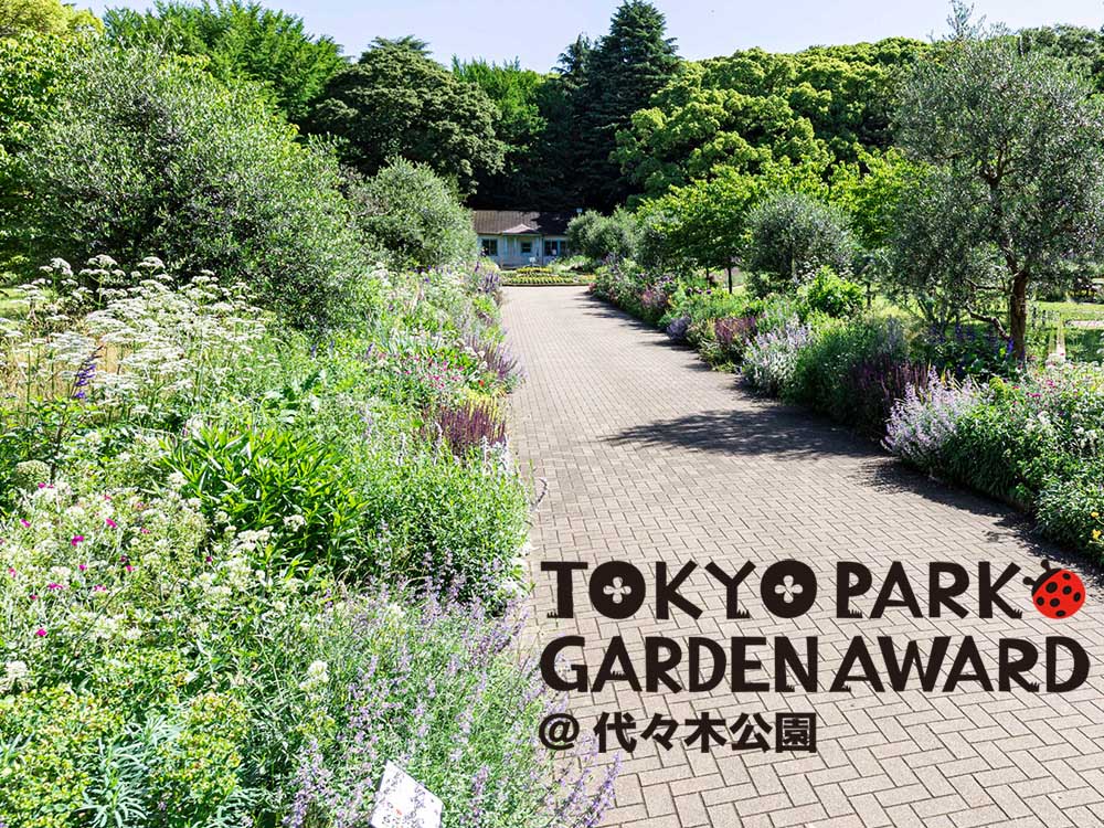 都立公園を花の魅力で彩る画期的コンテスト「東京パークガーデンアワード＠代々木公園」の花々が次々開花！