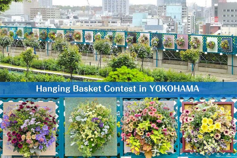 街を彩るハンギングバスケットコンテスト＠横浜　受賞作品発表