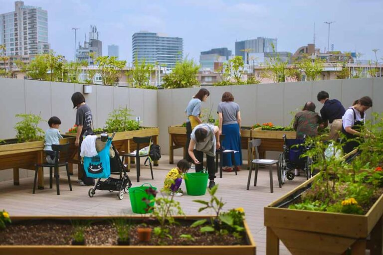 野菜とともに人も街も未来も育む東京・青山「ののあおやま」の屋上菜園