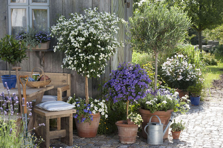 【夏の庭デザイン】地中海風ガーデンにおすすめの植物＆リゾート感を演出するアイテム