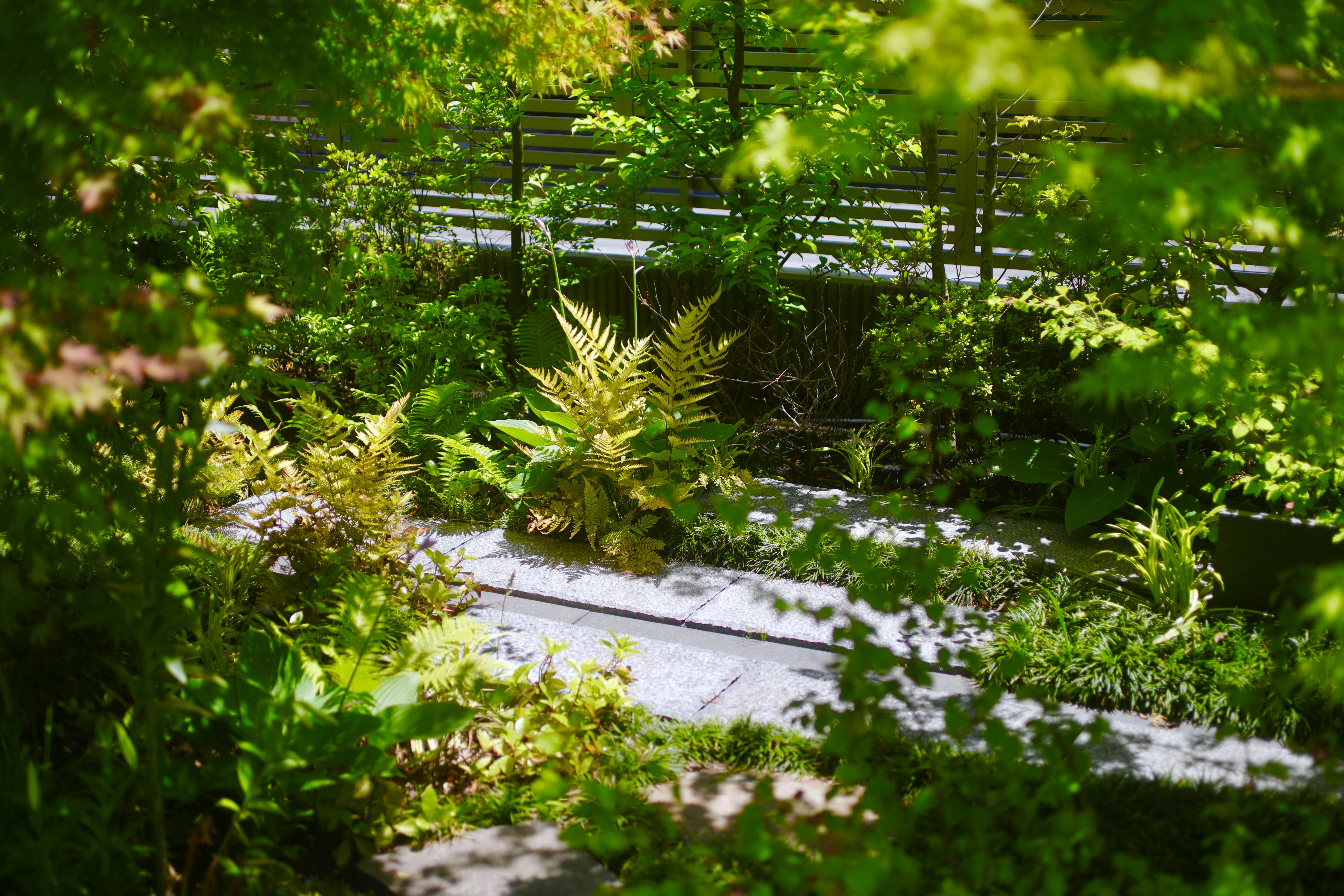 日比谷花壇施工の和の庭