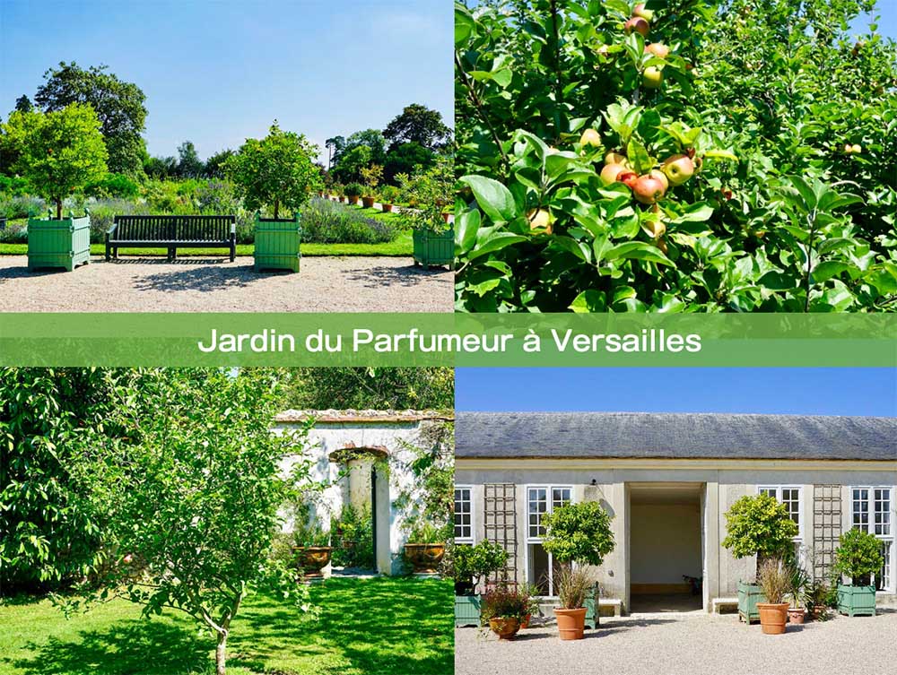 【フランスの庭】ヴェルサイユ庭園の最新スポット「調香師の庭」