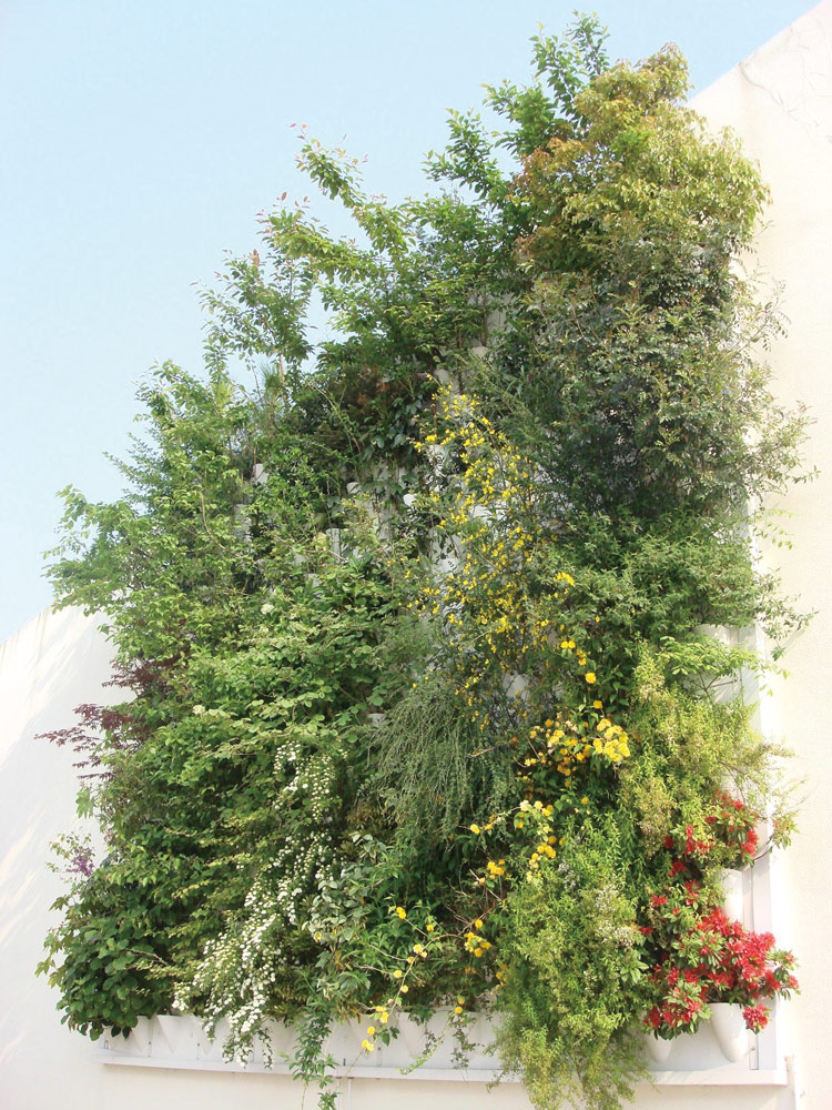 多様な植栽が可能な樹木対応型壁面緑化。