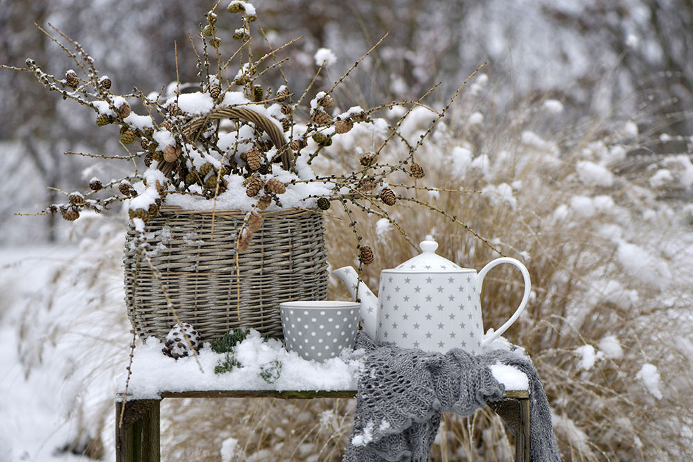 冬のガーデンをもっと楽しもう！ 庭の防寒装備＆植物を寒さから守る「コールドフレーム」