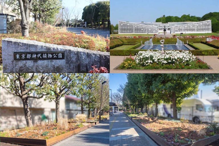 都立公園を花の魅力で彩る画期的コンテスト「第2回 東京パークガーデンアワード 神代植物公園」スタート！