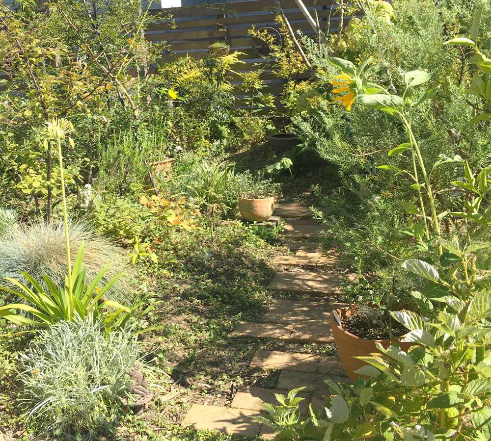 庭に向かって右側の、レンガタイルを飛び石のようにランダムに並べた小径。植栽スペースとの区切りがなく、緑と一体化するような自然な雰囲気。