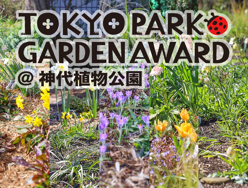都立公園を新たな花の魅力で彩る「第２回 東京パークガーデンアワード 神代植物公園」開花スタート