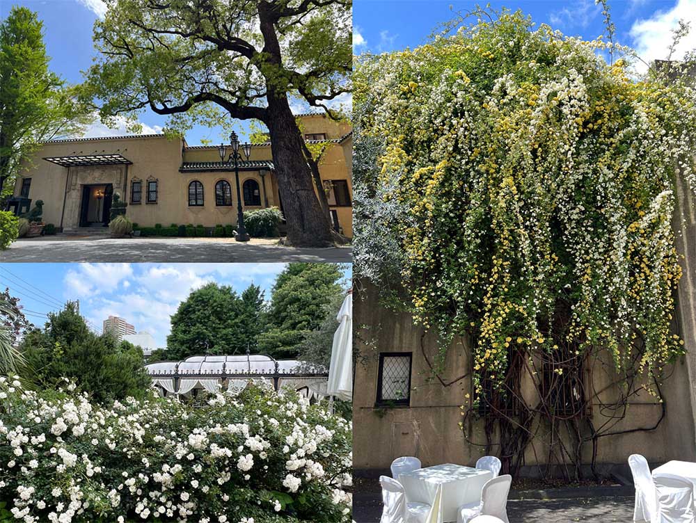 バラ咲く旧小笠原邸の建物と庭を訪ねて