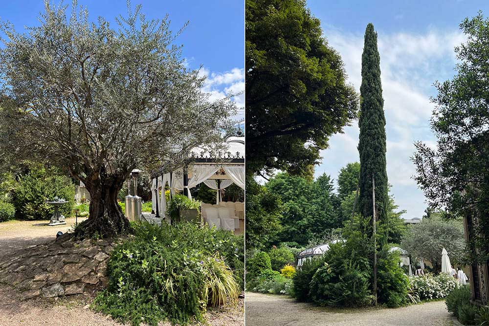 小笠原伯爵邸の庭