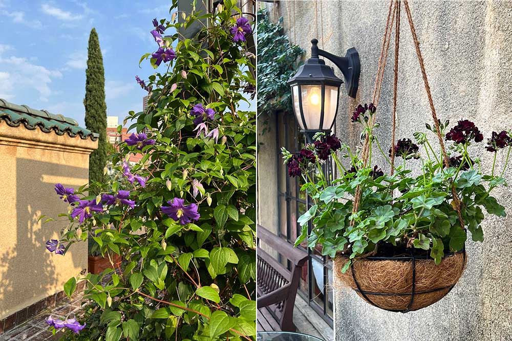 小笠原伯爵邸の屋上庭園