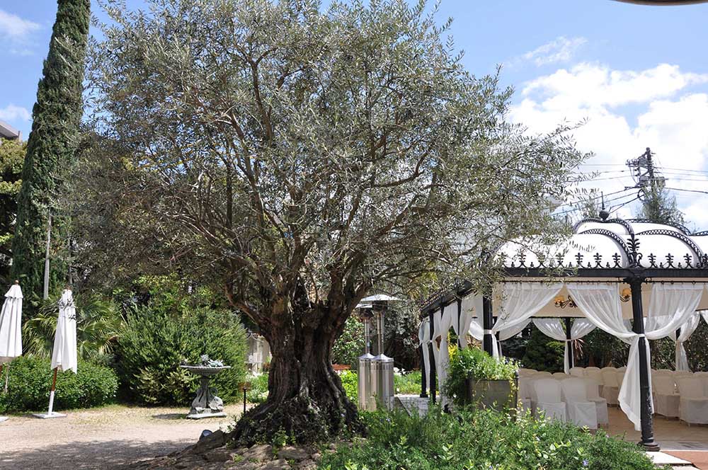 スペインレストラン小笠原伯爵邸