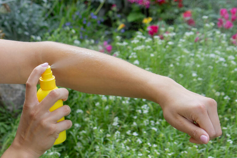 シトロネラやミントで乗り切る!夏のガーデニングを快適にする「虫除け植物」と自家製アロマスプレー