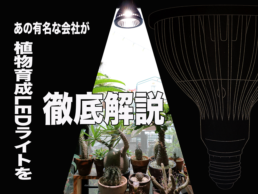 多肉植物や観葉植物に【フルスペクトル植物育成LEDライト】活用の 