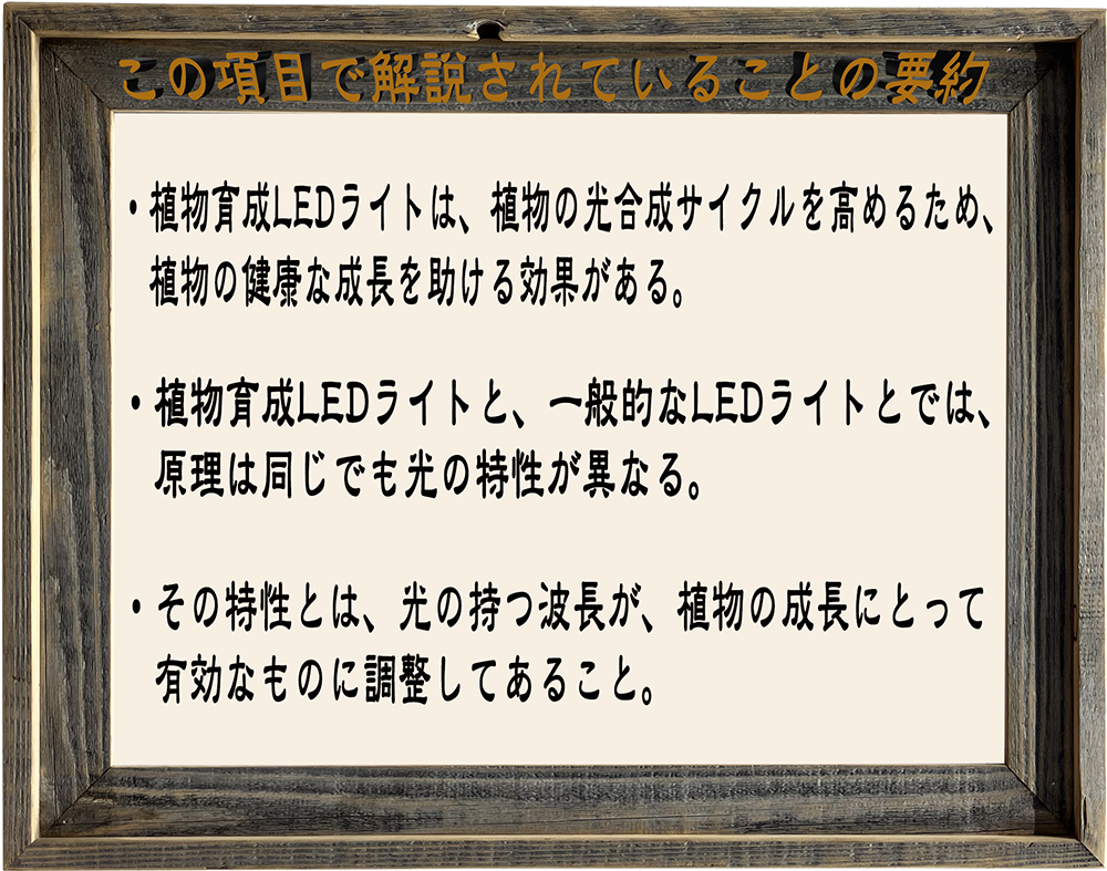 多肉植物や観葉植物に【フルスペクトル植物育成LEDライト】活用の 
