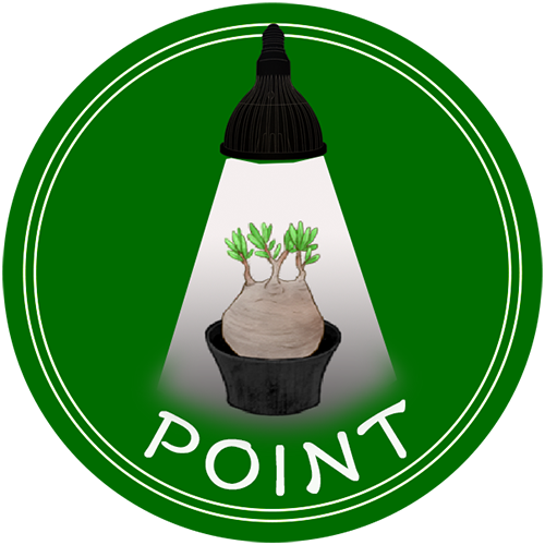 pointクリップ