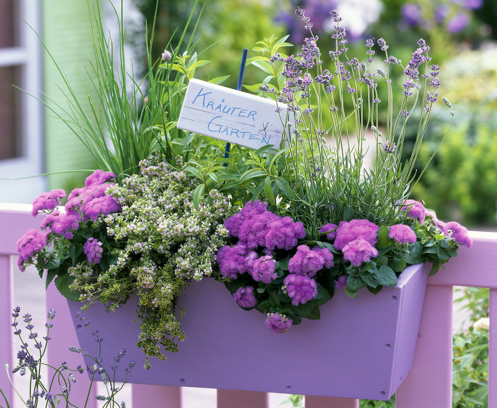 ウィンドウボックス