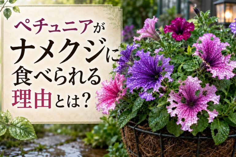 ペチュニアがナメクジに食べられる理由とは？ 匂いで選ぶ習性と、庭でできる予防策