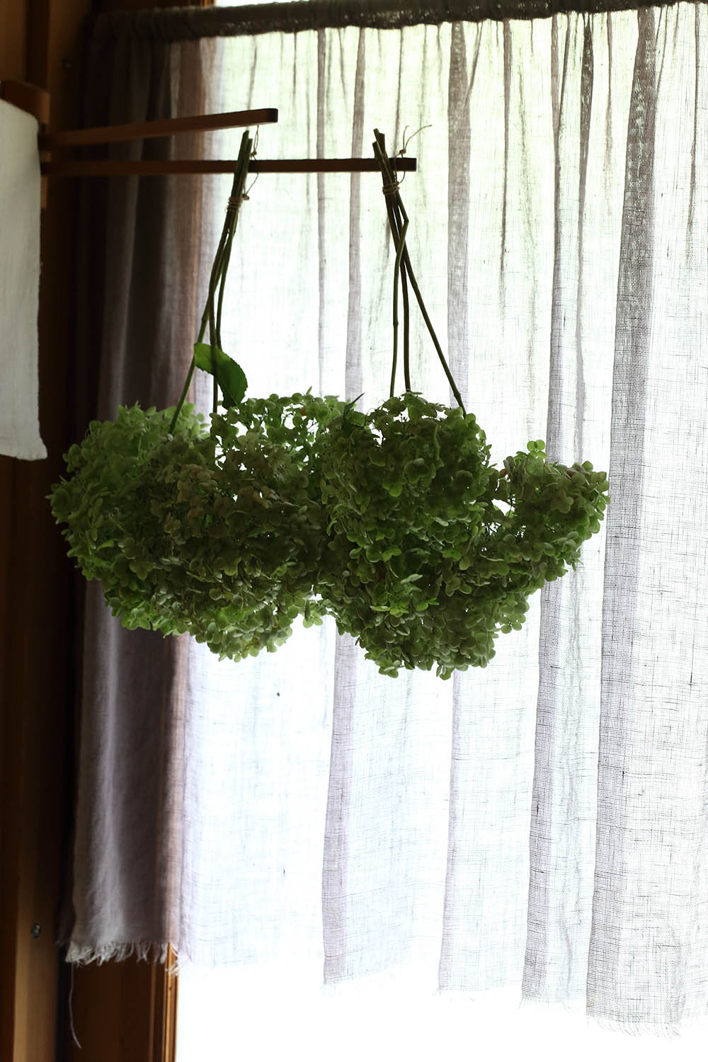 アナベルのドライフラワー