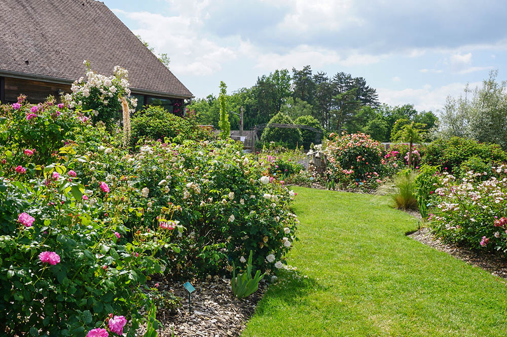 アンドレ・エヴのバラ園