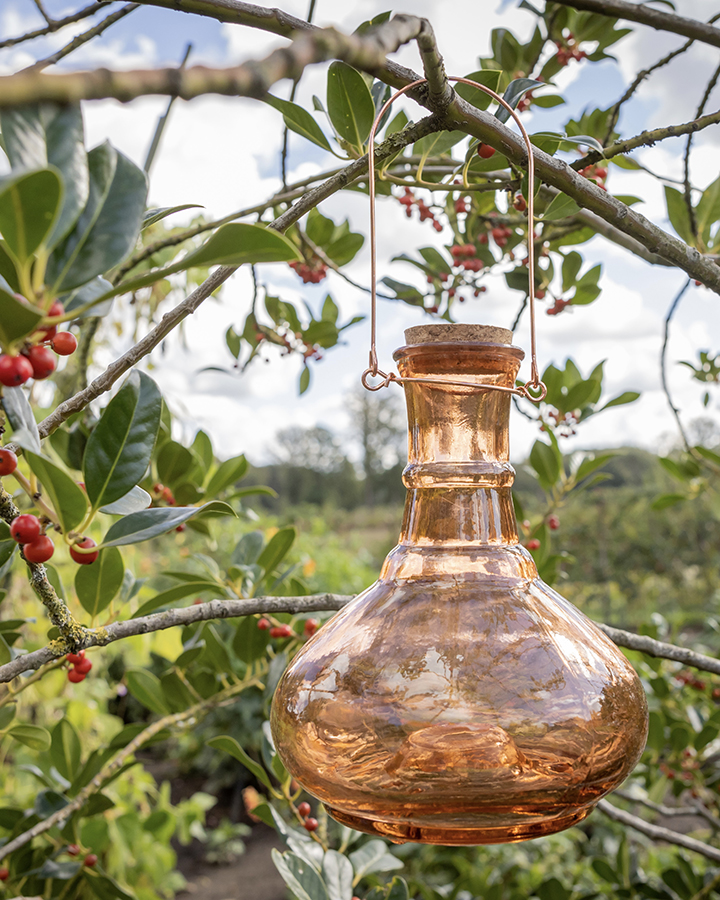 蜂トラップ ハンギング Earth